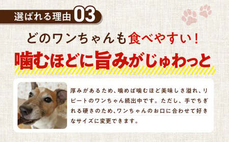 馬肉ヘルシージャーキー 3袋 40g×3袋 120g ペット用 ジャーキー 馬肉 おやつ ヘルシー 無添加 保存料等不使用 ペット 愛犬 犬用
