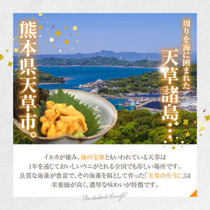 S168-009_天草殻出し生うに５０ｇ