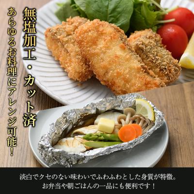 ふるさと納税 佐伯市 < 訳あり > 骨取り 白身魚 切身 (約400g・1袋) |  | 03