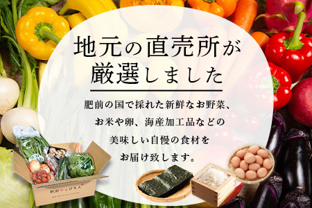 【３ヶ月お届け】肥前の国の農産物大満足定期便 【 野菜 卵 米 果物 新鮮 セット 詰め合わせ 定期便 産地直送 肥前 】E-61