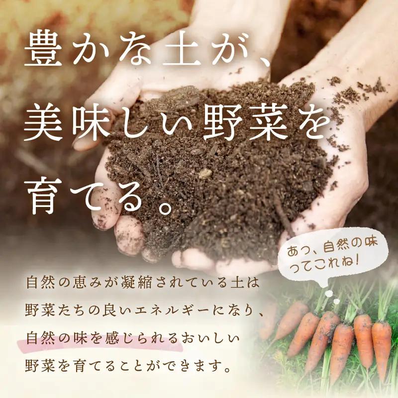 【4回定期便】＜てんとうむしばたけ＞オーガニック野菜セット　有機野菜6～7種(2人用) 京都直送 野菜 詰め合わせ 野菜セット 国産 京都産 ふるさと納税 野菜
