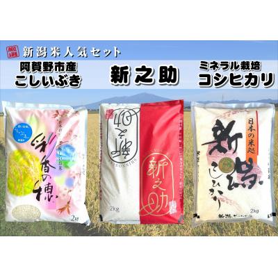 ふるさと納税 阿賀野市 【令和7年産】新潟人気米セット計6kg(コシヒカリ・新之助・こしいぶき各2kg)