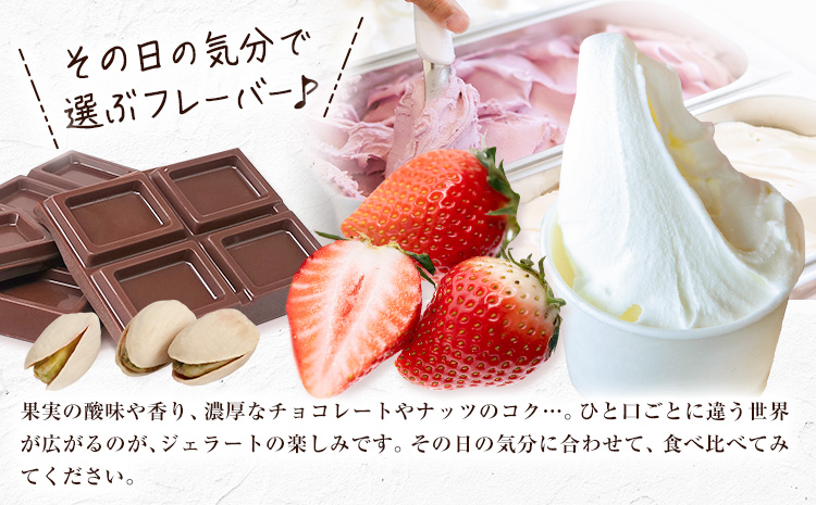 ジェラート アイス スイーツ SANAGOCHI GELATO 12個 株式会社クリスティーヌ 《30日以内に出荷(土日祝除く)》 徳島県 佐那河内村 お菓子 ご褒美 プレゼント いちご チョコ ピス