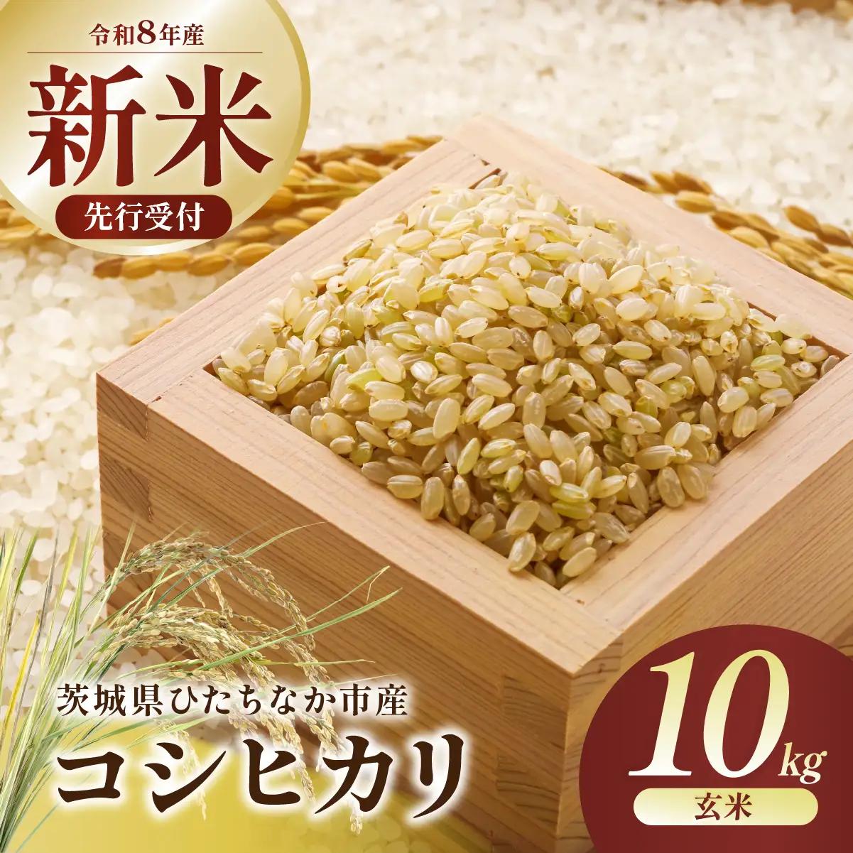 【令和8年産新米】コシヒカリ 玄米 10kg  | 新米 お米 こしひかり コシヒカリ