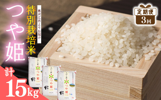 
            【特別栽培米】つや姫３回定期便計15kg（5kg×1袋×3回）／ 2024年産 令和6年産 山形県産 山形産 白米 精米 お取り寄せ 小分け 便利 グルメ ブランド米 ごはん ご飯 東北 国産 5キロ 10キロ 15キロ 3ヵ月 3ヶ月 3か月 産地直送 JAさがえ西村山　031-C-JA033
          