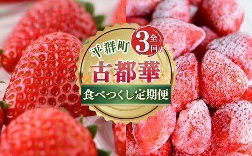 【 定期便 3回 】 濃紅 の 宝石 へぐり の 古都華 食べつくし | ブランド 苺 ご褒美 ごほうび 高糖度 甘い イチゴ いちご ストロベリー 古都華 ことか ルビー色 果物 くだもの フルーツ フレッシュ 新規 農家 応援 支援 旬の品種 奈良県 平群町