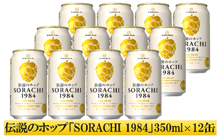 北海道 上富良野 コラボ 返礼品 上富良野町発祥！伝説のホップ「ソラチエース」使用【SORACHI 1984】350ml×12缶×【農林水産大臣賞受賞】ふらの和牛 サーロインステーキ 400g (約2