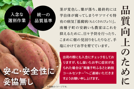 種子島安納いも（本場種子島産）5ｋｇ【南種子町観光物産館 トンミー市場】
