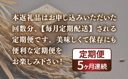 【5ヶ月定期配送】（無洗米300g）ホクレンゆめぴりか 