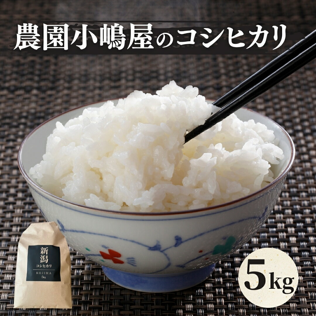 【ふるさと納税】令和7年産 米 5kg 五泉産 コシヒカリ 農園小嶋屋 | 白米 精米 こしひかり お米 おこめ コメ こめ おすすめ 人気 新潟県 五泉市 [10月下旬以降順次発送]