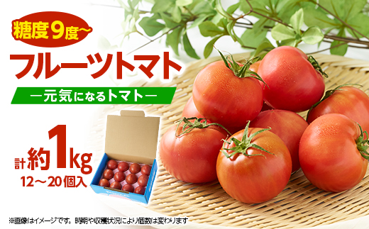 佐野市 元気になるトマト【フルーツトマト】