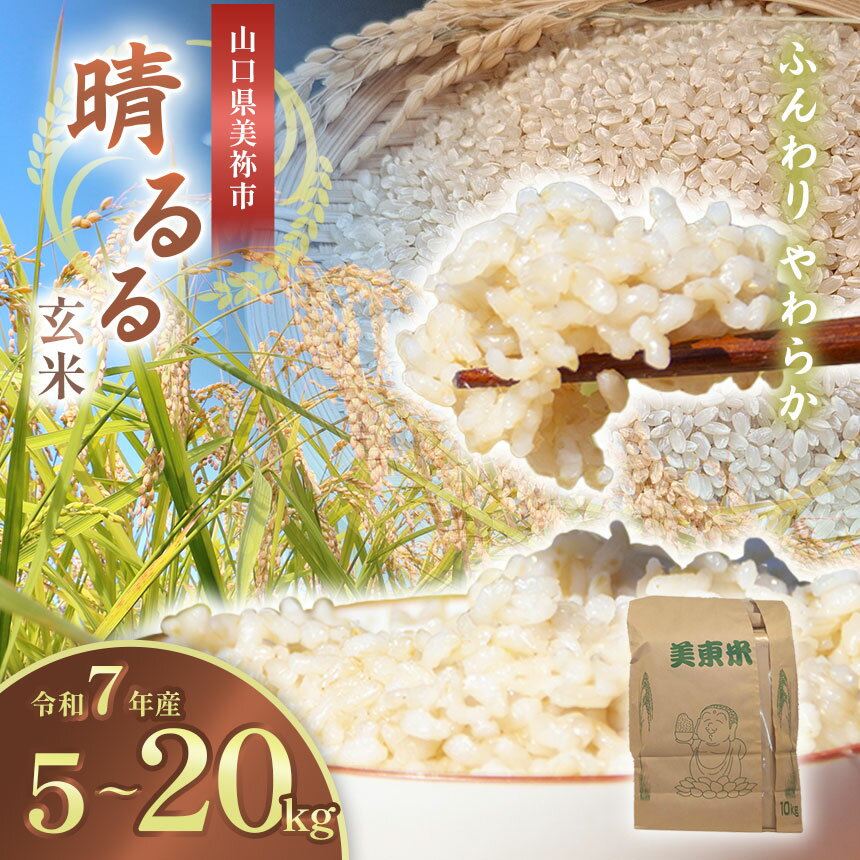 【ふるさと納税】 令和7年度産 新米 晴るる ( 玄米 5kg ~ 20kg ) 先行予約 ＜ 2025年9月中旬より順次発送予定 ＞｜ 米 精米 新米 玄米 米 雑穀 お米 コメ 単一米 晴るる はるる 山口 美祢 秋吉台 5kg 10kg 15kg 20kg