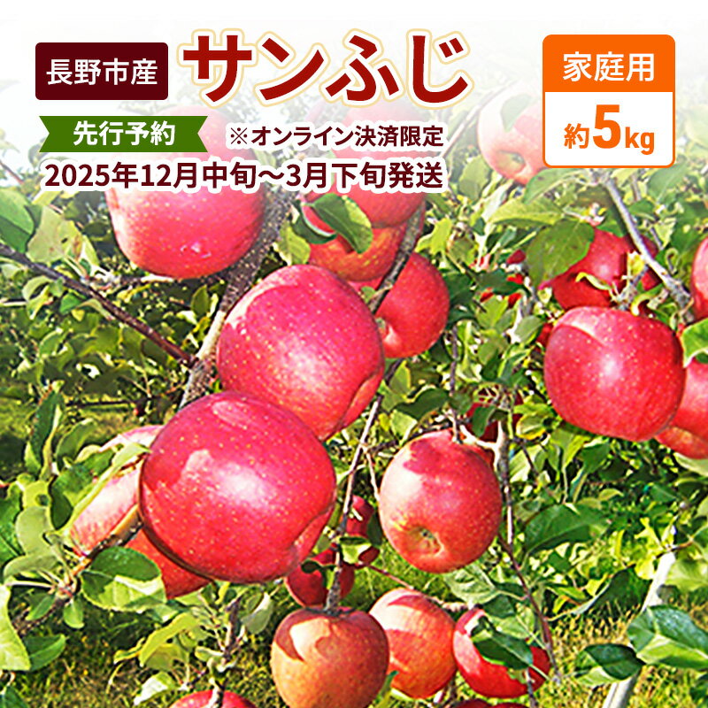 【ふるさと納税】 長野市産サンふじ家庭用 約5kg 2025年12月～2026年3月発送 ※オンライン決済限定 果物 フルーツ デザート 食後 おやつ 長野県産 信州 りんご 代表品種 濃厚　お届け：2025年12月上旬～2026年3月中旬