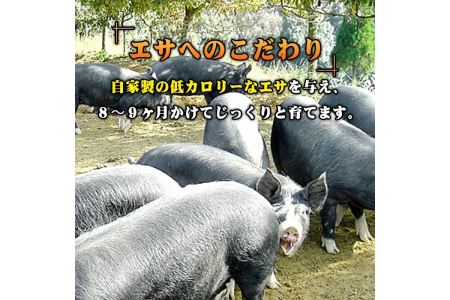 A3-01 鹿児島県産！幻の黒・沖田の黒豚(計900g・ロース、肩ロース、バラ、モモ、ウデいずれか3パック) 自然放牧・自家製飼料で大切に育てられた黒豚肉【沖田黒豚牧場】