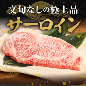 【冷凍】 前沢牛サーロインステーキ200g×2枚セット ブランド牛肉 国産 国産牛 牛肉 お肉 冷凍 [U0192]