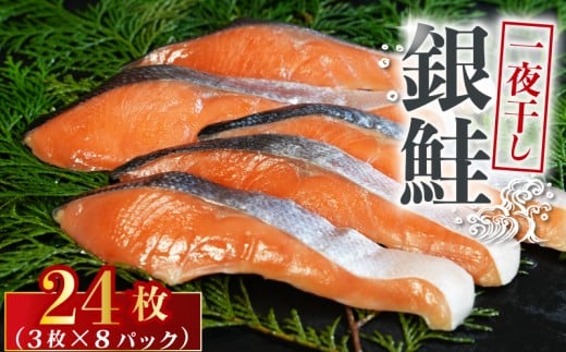 銀鮭 一夜干し 24枚 （8パック×3枚） 干物 ひもの さけ 鮭  魚 海鮮 おかず 酒 のあて おつまみ 弁当 塩 魚介 惣菜  食品 冷凍食品 グルメ 贈答 贈り物 プレゼント ギフト お取り寄せ ふるさと納税 送料無料 千葉県 銚子市 株式会社甲印小西商店