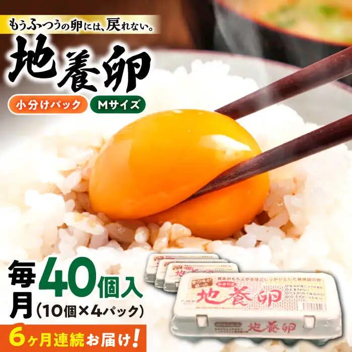 【6回定期便】最高級 卵 地養卵 Mサイズ 40個×6回定期便 長崎県産 西海市 たまご 卵 玉子 タマゴ 鶏卵 オムレツ 卵かけご飯 朝食 料理 人気 卵焼き＜垣山養鶏園＞ [CBB019]
