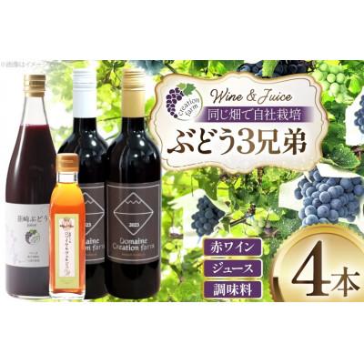 ふるさと納税 韮崎市 ぶどう3兄弟(ワイン・ジュース・ヴェルジュ)4本セット