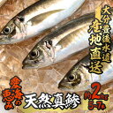 【ふるさと納税】天然 真鯵 (約2kg・計5-7本) 直送 産直 漁師 魚 鮮魚 天然 アジ 鯵 青魚 獲れたて 刺身 煮つけ 塩焼き 冷蔵 豊後水道 鮮魚 大分県 佐伯市【CS04】【 (有)丸昌水産】