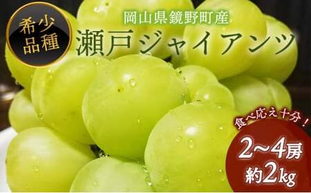 【期間限定】 鏡野町産 瀬戸ジャイアンツ 2kg（2～4房）