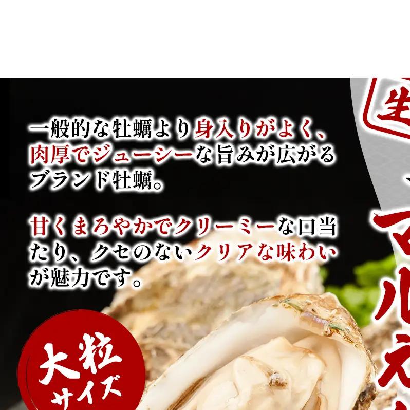 北海道 厚岸産 砂抜き済み あさり 1kg ＆ ブランド牡蠣 マルえもん 殻付き LLサイズ 10個 【光輝】 [ 魚貝類 海鮮 海の幸 みそ汁 酒蒸し アサリバタ 産地直送 生食用牡蠣 生食用 牡蠣