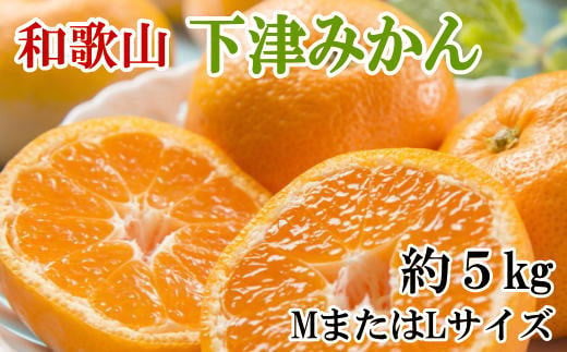 【産直・秀品】和歌山下津みかん約5kg(MサイズまたはLサイズのいずれかをお届け) ※2026年11月中旬～2027年1月中旬頃に順次発送【tec871A】