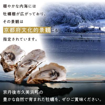 ふるさと納税 京丹後市 久美浜産牡蠣フライ16個(8個入り×2)冷凍のまま揚げるだけ手軽に国産濃厚カキフライ パーティーにも |  | 03
