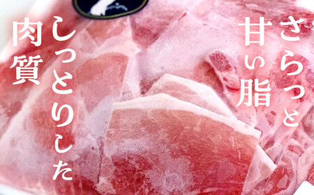 『香心ポーク』切り落とし 約250g×6パック 豚肉切り落とし[AYCK014]