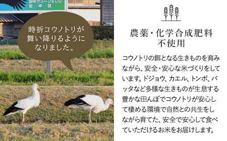 【先行予約 令和8年産】新米 無農薬 有機JAS認定米 コウノトリ育む田んぼのお米 15kg（5kg×3袋）AS1F30