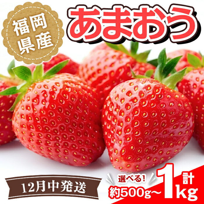 【ふるさと納税】＜容量を選べる・先行予約受付中！2025年12月より順次発送予定＞福岡県産 あまおう(計約500g or 1kg) いちご 苺 フルーツ 果物 くだもの 冷蔵 ＜離島配送不可＞【ksg1488・ksg1502】【エフビーネット】