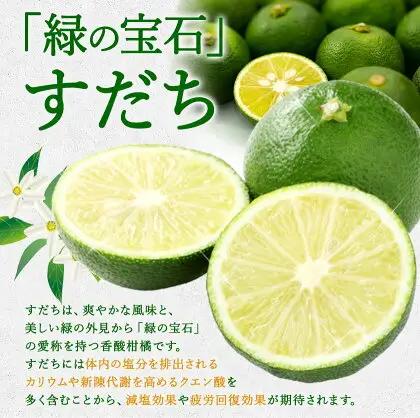 爽快！ 100% すだち 果汁 2000ml JA徳島市農産工場 すだち