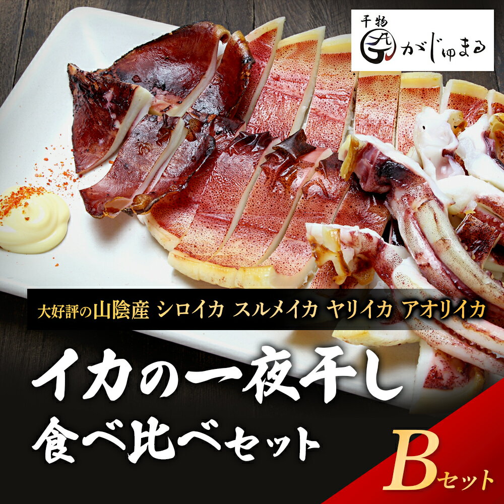 【ふるさと納税】大好評！山陰産シロイカ（剣先イカ）入りのイカ食べ比べセット　一夜干し　白イカ　スルメイカ、ヤリイカ、アオリイカ 国産 無添加 冷凍 おつまみ ギフト 贈り物