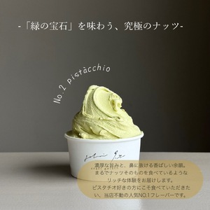 イタリアンジェラート１２個セット アイス アイスクリーム イタリアン ジェラート ミルク チョコレート ピスタチオ ヘーゼルナッツ 詰め合わせ 岩手県 北上市 E0314 ジェラテリア イト スイーツ