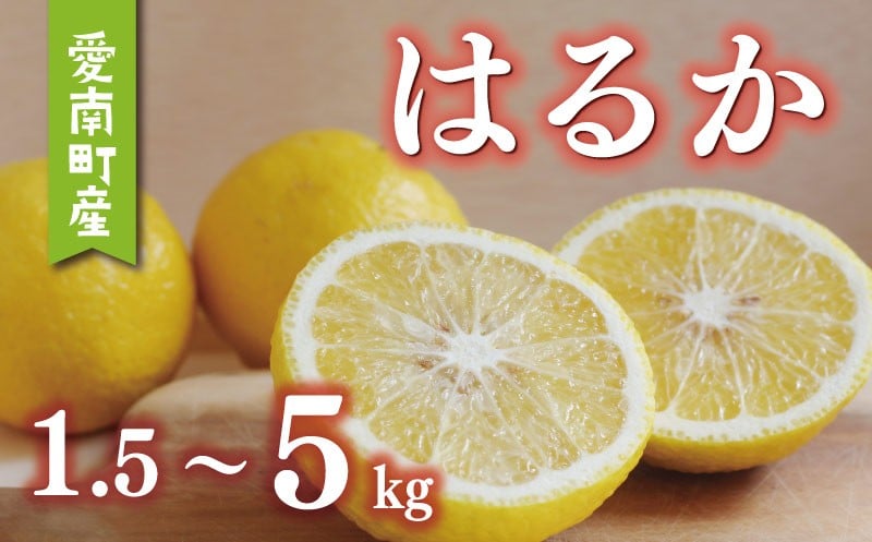 
            【選べる】 容量 数量限定 先行予約 はるか 1.5kg 3kg 5kg 訳あり 通常品 みかん mikan 蜜柑 ミカン 国産 産地直送 農家直送 期間限定 特産品 ゼリー ジュース アイス 等に わけあり 人気 限定 フルーツ 果物 柑橘 甘い おいしい ジューシー お取り寄せ ギフト プレゼント サイズ ミックス あいなんマザーズ 愛南町 愛媛県
          