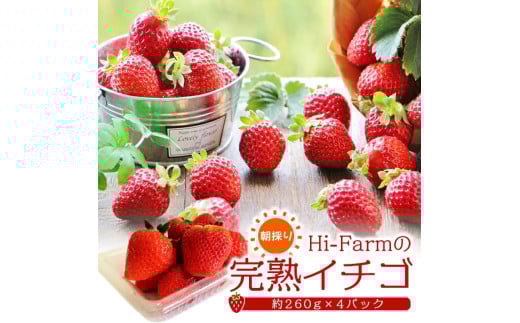 SA2615　Hi-Farmの完熟いちご　約260g×4パック