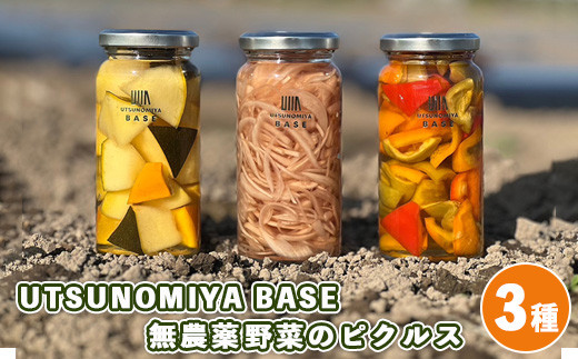 
UTSUNOMIYA BASE無農薬野菜のピクルス【3種セット】
※着日指定不可
