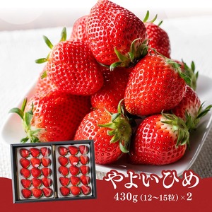 川南町産　いちご「やよいひめ」900ｇ（450ｇ×2）【 期間限定 果物 イチゴ 苺 やよいひめ フルーツ 】