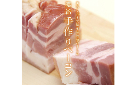 ベーコン 旨みベーコン 170g 3個 セット ハム ギフト キャンプ 豚肉 おつまみ 国産