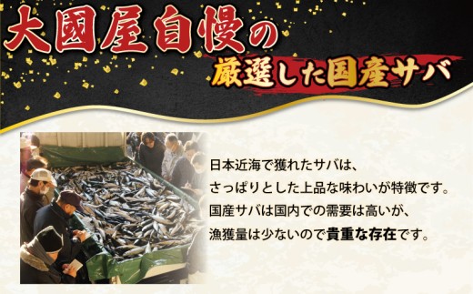 訳あり 国産 無塩さば 約2kg 小サイズ 【11月以降発送】 フィーレ 鯖 さば 冷凍 切身 フィレ 無塩 無塩鯖 さばフィーレ 鯖フィーレ さばフィレ 鯖フィレ 切り身 切身 個別冷凍 お弁当 惣