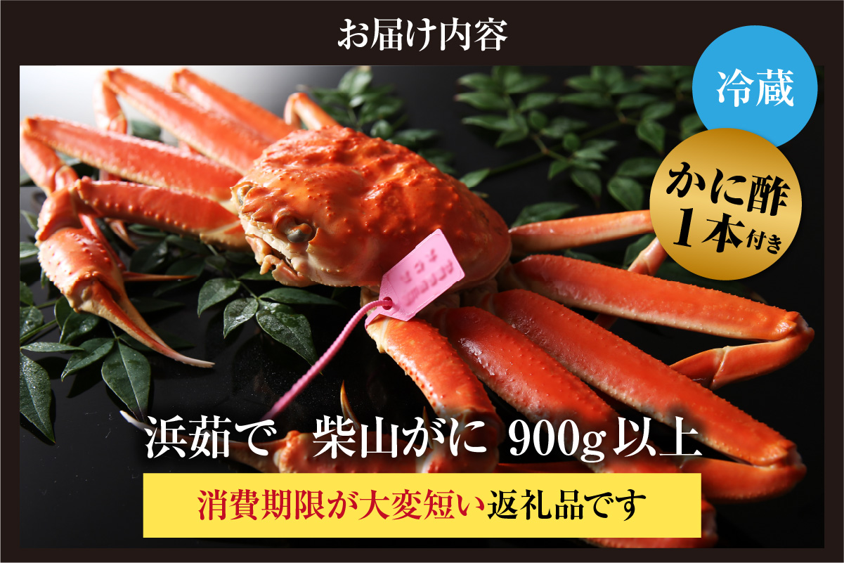 【先行予約】カネニの浜茹で柴山がに 900g以上 冷蔵 【令和8年11月中旬以降発送予定】かに 香美町 06-21