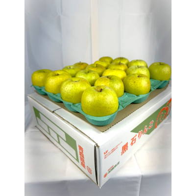 糖度保証!!　令和6年産　訳あり品　王林10kg(26個〜46個)【令和7年12月中旬より順次発送】【配送不可地域：離島・沖縄県】【1491943】
