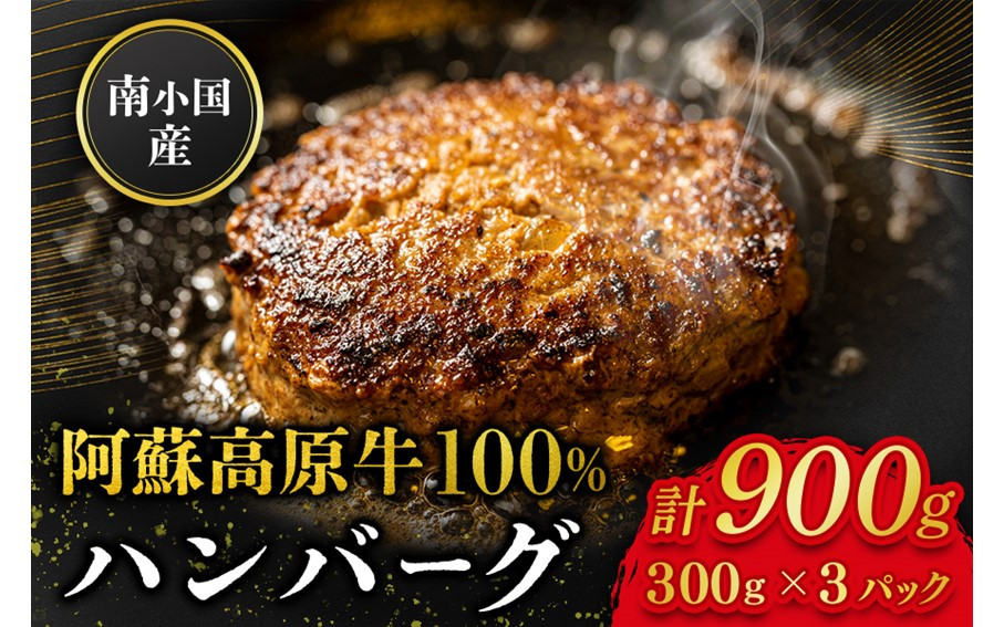 
             南小国産 阿蘇高原牛 牛100% ハンバーグ 900g 贅沢 牛 牛肉 国産牛 ハンバーグ ハンバーグステーキ 150g 6個 小分け 熊本県産 国産 贈答用 ギフト 熊本 阿蘇 南小国町 送料無料
          