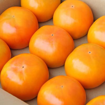 ふるさと納税 印南町 和歌山産富有柿 約7.5kg サイズおまかせ 【印南町】 |  | 02
