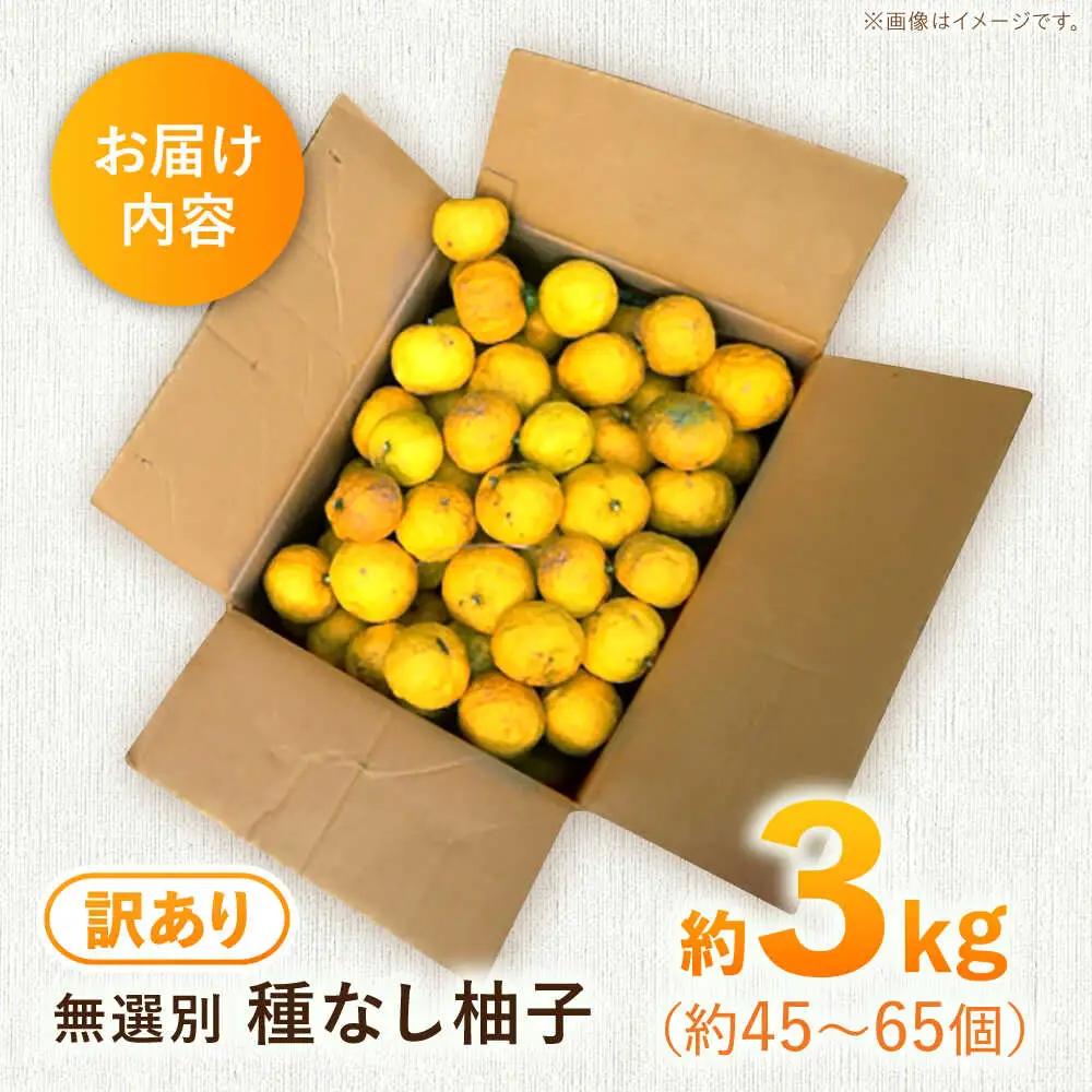 【訳あり】【2026年先行予約】種なし柚子3kg ＜2026年11月中旬より順次発送＞[APAQ004] ゆず