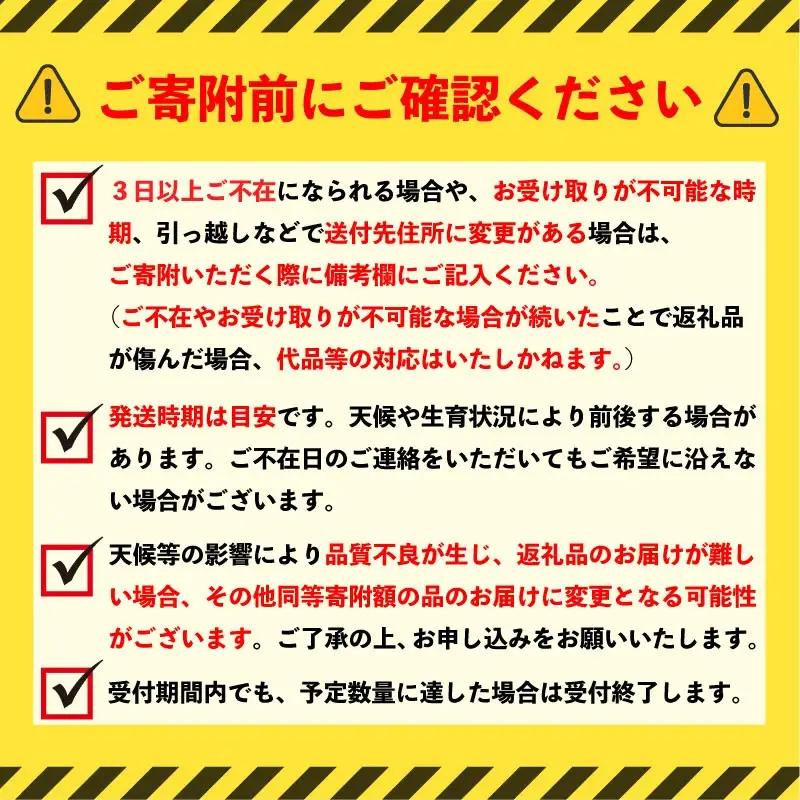 【先行予約】 訳あり 野菜セット 夏 6 ～ 8 種類 7月上旬以降発送 【 夏野菜セット 】