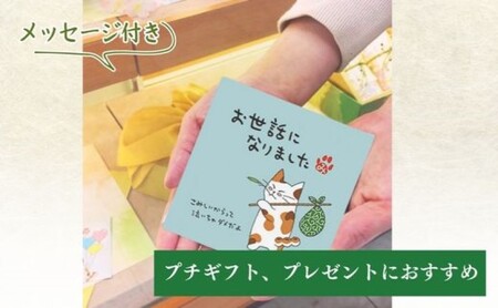 緑茶 ティーバッグ みたらしちゃん お世話になりました 濃旨緑茶ティーバッグ 2g×3ヶ入×20袋 ギフト プレゼント 日本茶 お茶 静岡 森町