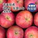 【ふるさと納税】≪内容量が選べる≫2025年4月～6月発送! 訳あり 家庭用 有袋ふじ 約3kg 約5kg 約10kg【青森県 平川市 原田青果】りんご 青森 平川 訳あり 家庭用 4月 5月 6月 青森 青森県産 平川 りんご リンゴ 林檎 くだもの 果物 フルーツ レビューキャンペーン