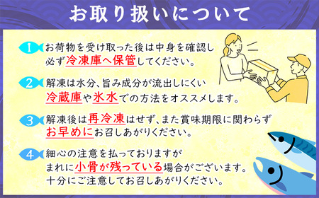 鯖フィレ 清広食品 極み 1枚 | 刺身