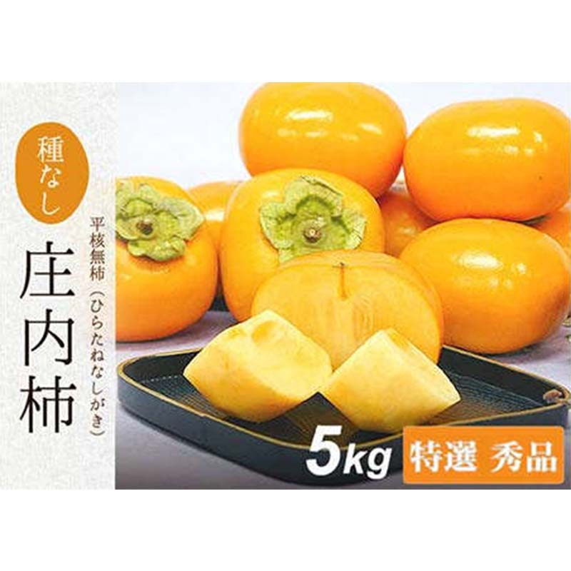 【ふるさと納税】【令和7年先行受付】庄内柿 四郎左衛門 特選 秀品 約5kg(22～24個) 2Lサイズ 果物 フルーツ FSY-2104