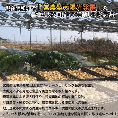 ふるさと納税 明和町 菊芋 加工品 6点セット |  | 02
